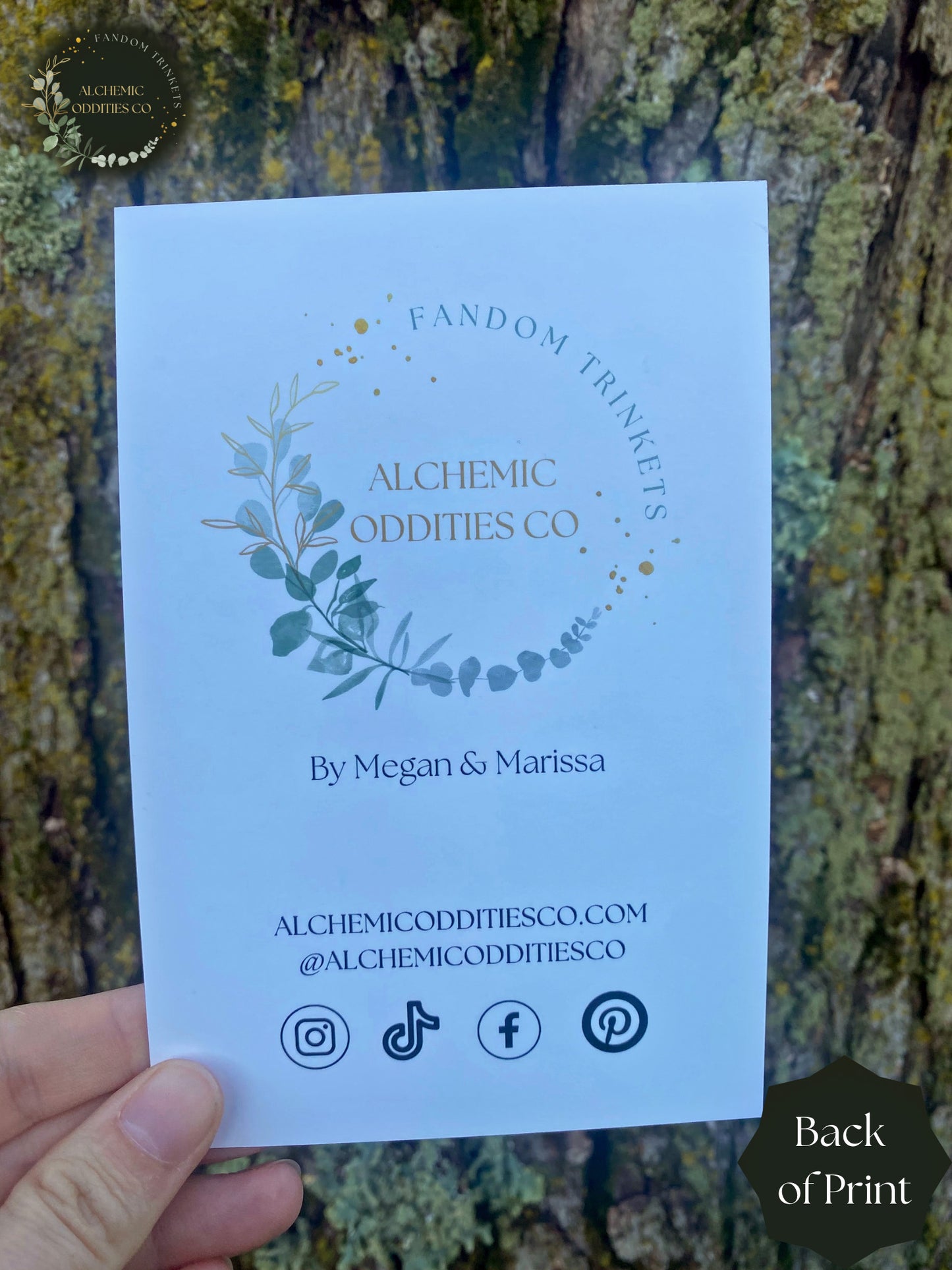 Apothecary Chronicles Prints
